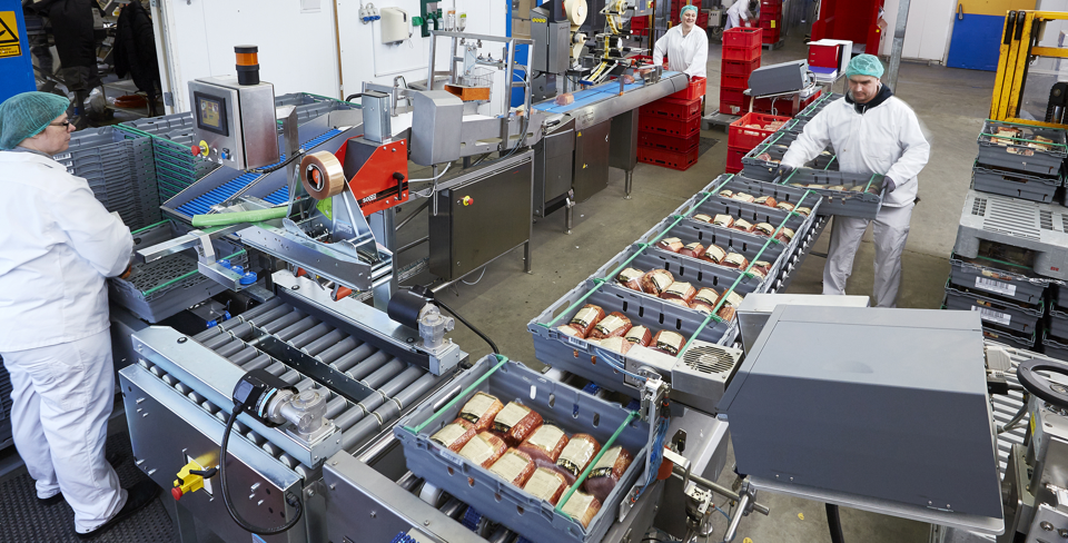 End-of-line concepts